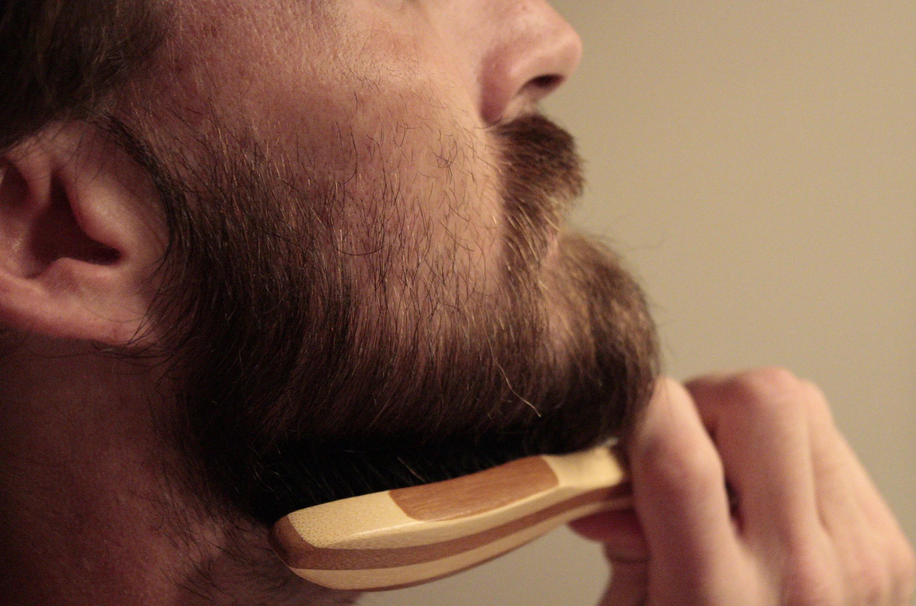 Barba enterrada