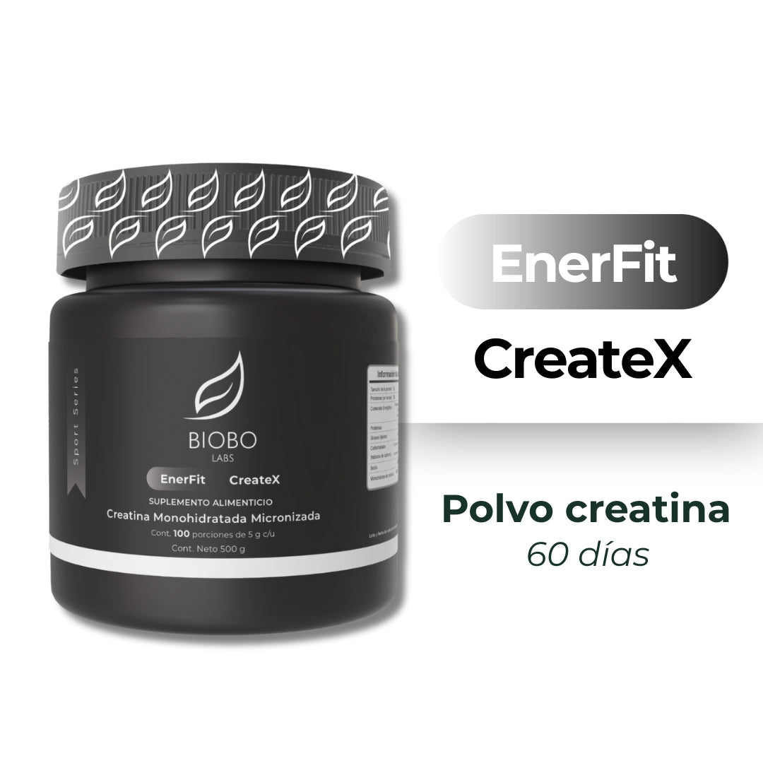 Enerfit Createx Micronizada 500 Grs